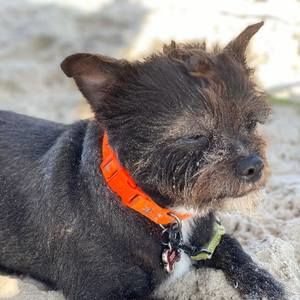 Meet your Posher, Jenn